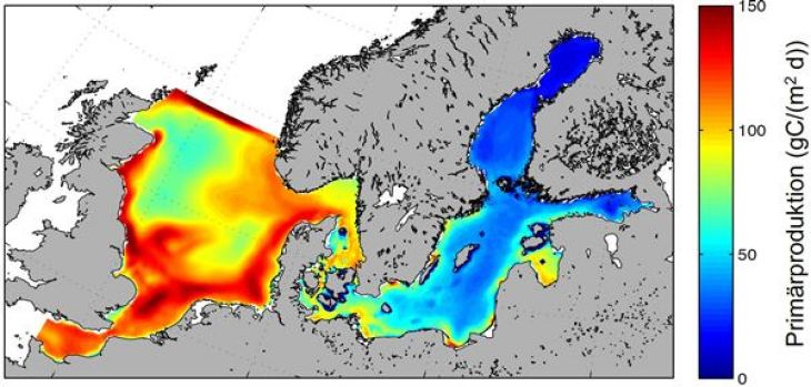 Simulated mean (60 years) phytoplankton production in North Sea and Baltic Sea from the coupled ecosystem model ECOSMO.