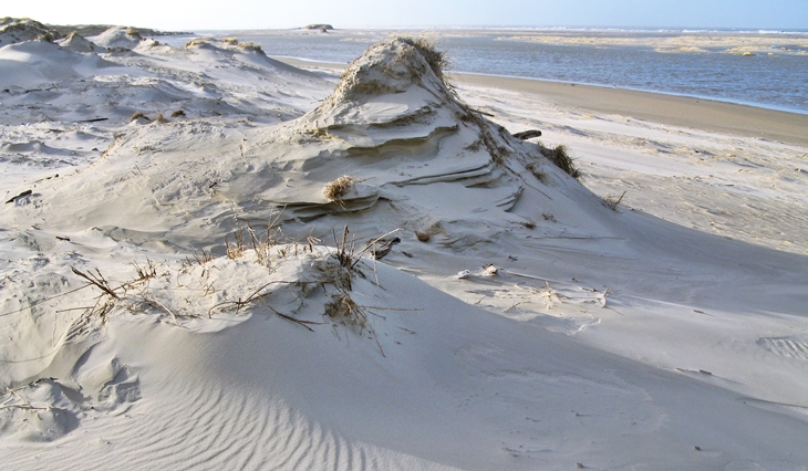 Primary dunes after a storm surge 