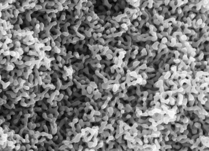 Electron microscope image of a nanoporous gold network. 